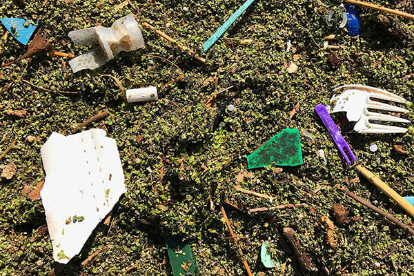 Bits of plastic and other trash litter a beach. Photo: Michigan Sea Grant